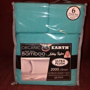 Bamboo Sheets 6 piece set Queen Turquoise